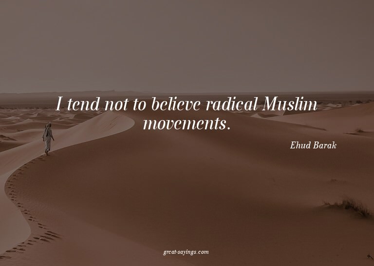 I tend not to believe radical Muslim movements.

