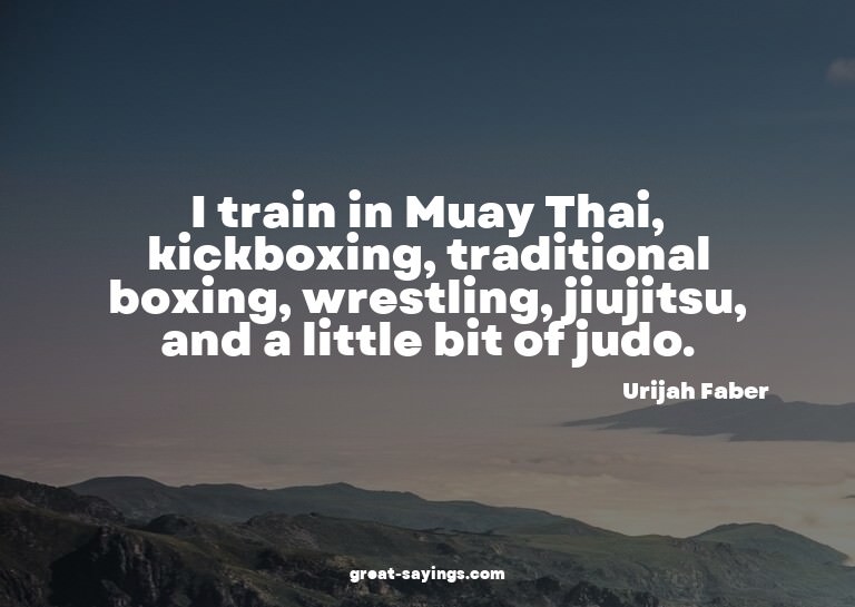 I train in Muay Thai, kickboxing, traditional boxing, w