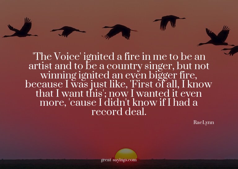 'The Voice' ignited a fire in me to be an artist and to