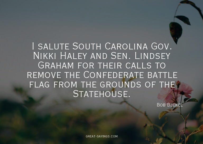 I salute South Carolina Gov. Nikki Haley and Sen. Linds