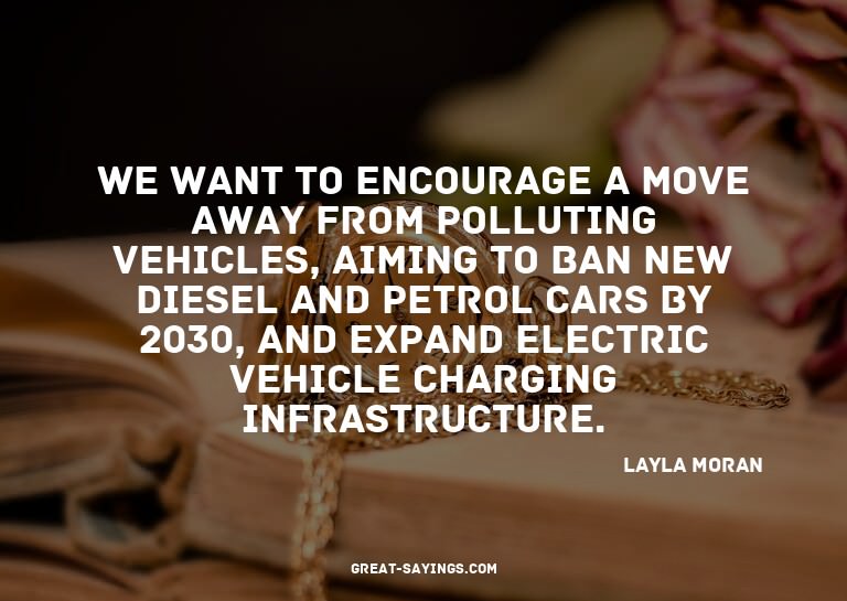 We want to encourage a move away from polluting vehicle