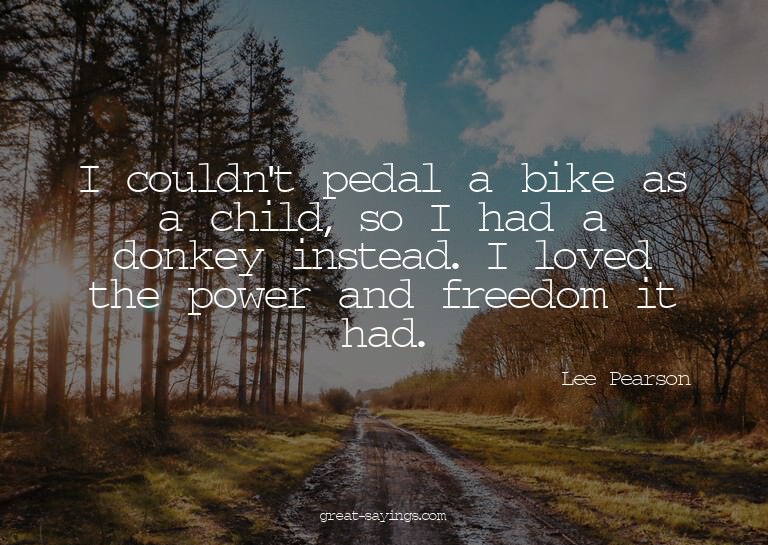 I couldn't pedal a bike as a child, so I had a donkey i