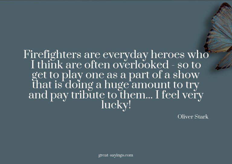 Firefighters are everyday heroes who I think are often