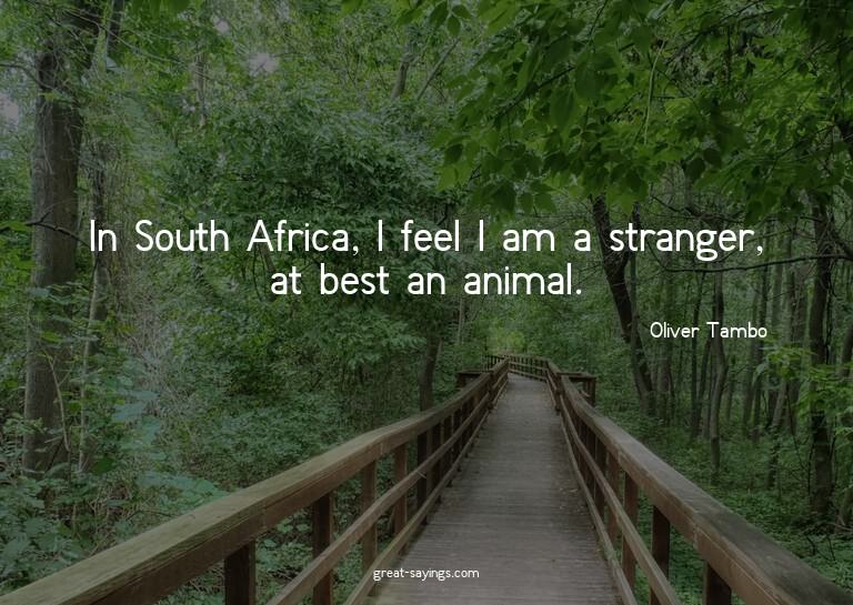 In South Africa, I feel I am a stranger, at best an ani