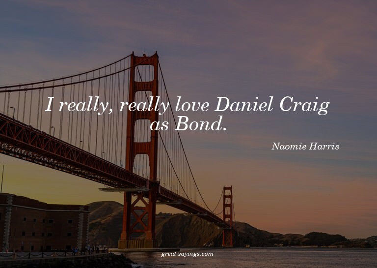 I really, really love Daniel Craig as Bond.

