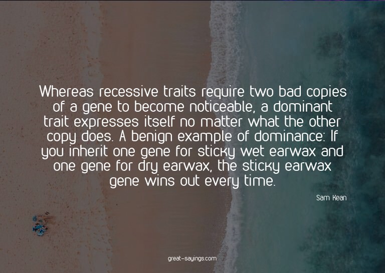 Whereas recessive traits require two bad copies of a ge