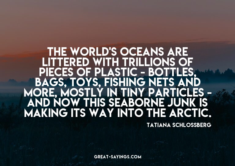The world's oceans are littered with trillions of piece