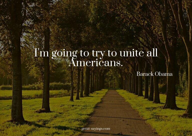 I'm going to try to unite all Americans.


