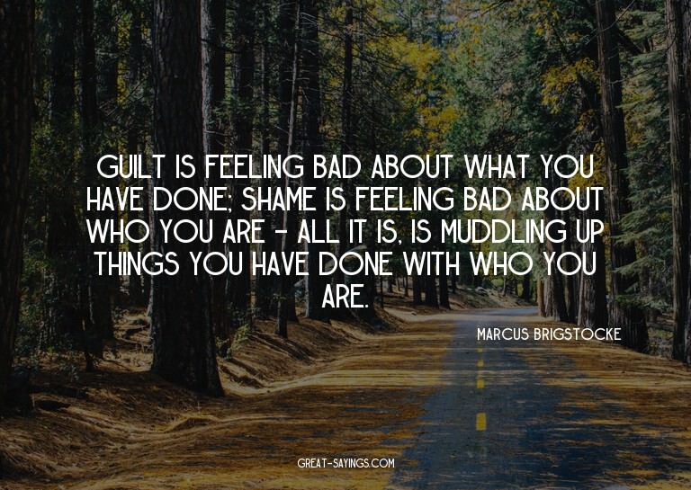 Guilt is feeling bad about what you have done; shame is
