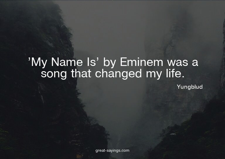 'My Name Is' by Eminem was a song that changed my life.