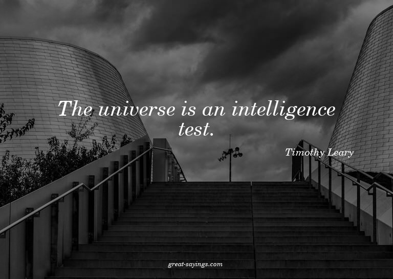 The universe is an intelligence test.


