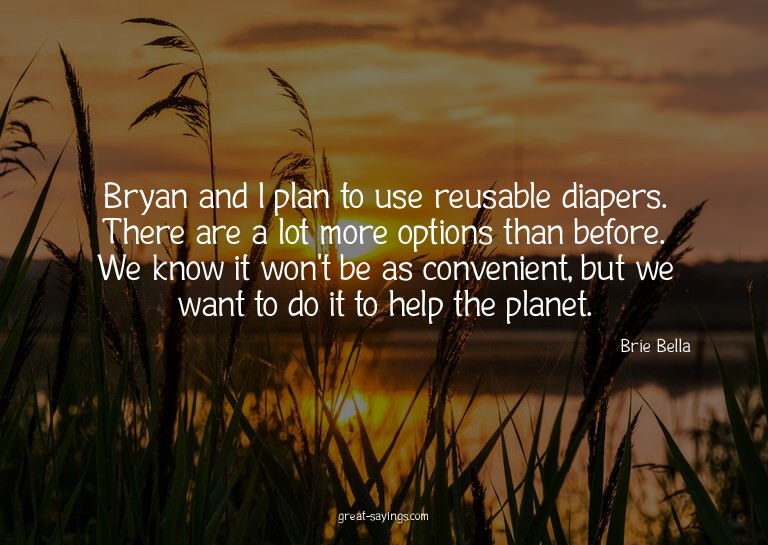 Bryan and I plan to use reusable diapers. There are a l