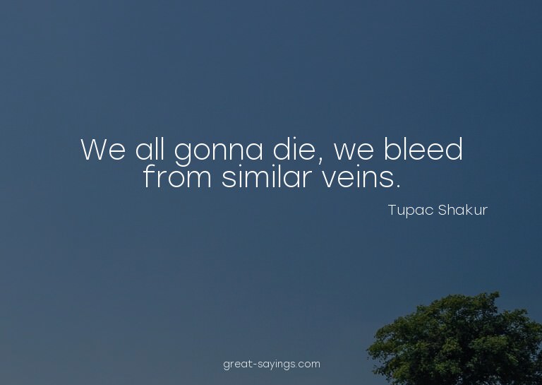 We all gonna die, we bleed from similar veins.

