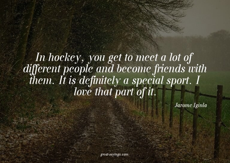 In hockey, you get to meet a lot of different people an