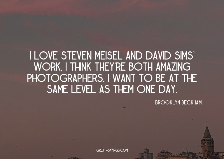 I love Steven Meisel and David Sims' work, I think they
