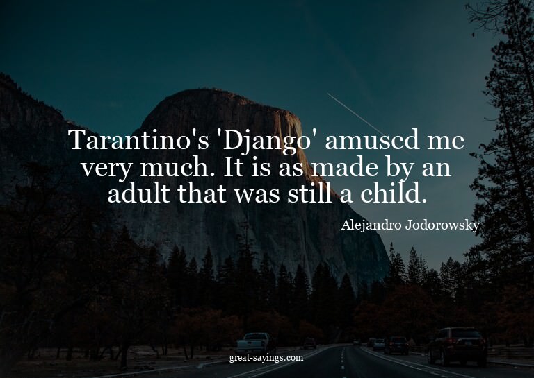 Tarantino's 'Django' amused me very much. It is as made