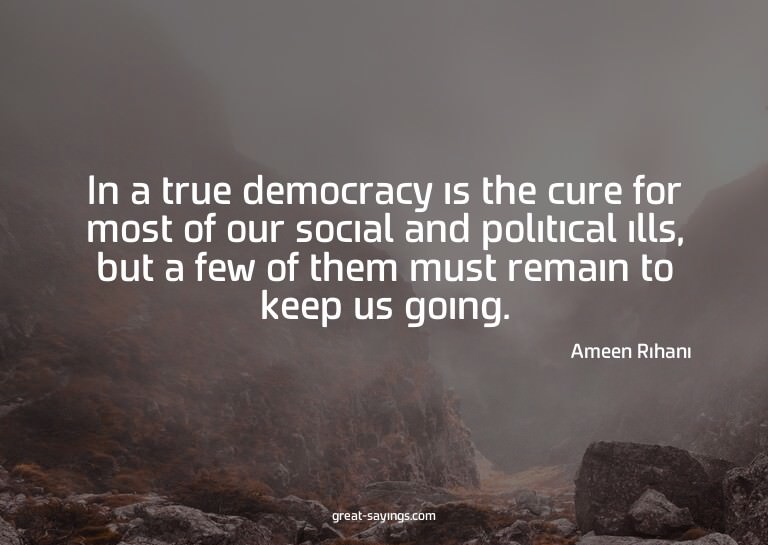 In a true democracy is the cure for most of our social