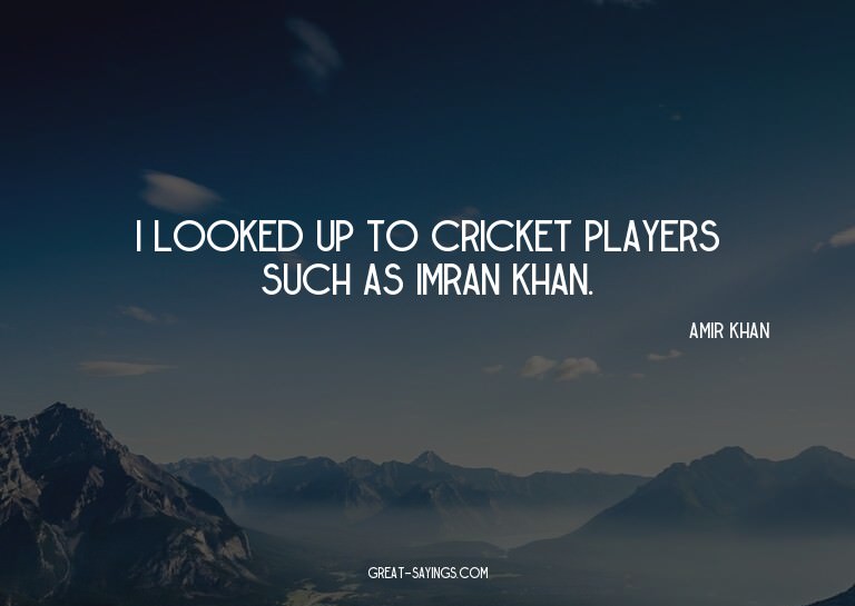 I looked up to cricket players such as Imran Khan.

