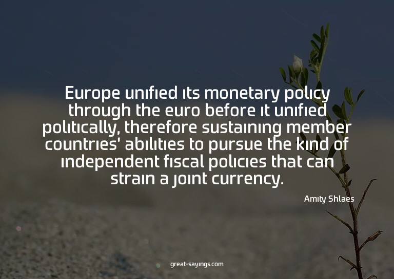Europe unified its monetary policy through the euro bef