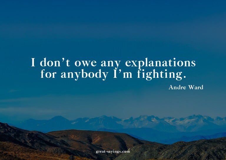 I don't owe any explanations for anybody I'm fighting.


