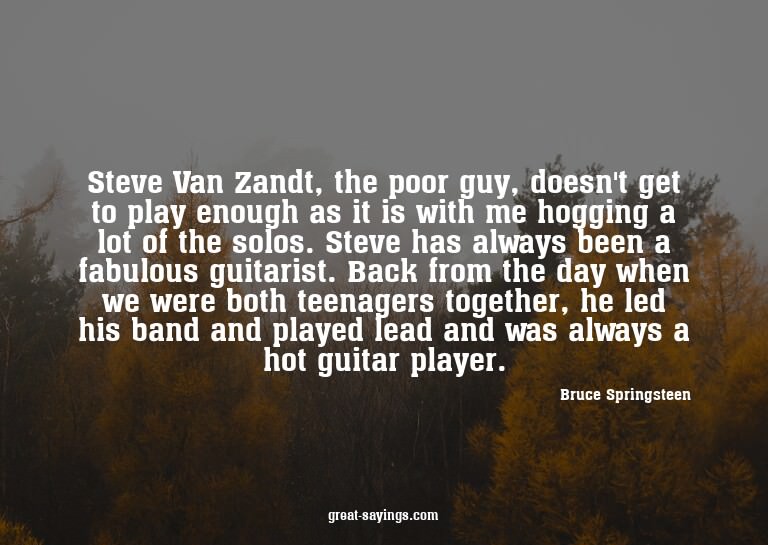 Steve Van Zandt, the poor guy, doesn't get to play enou