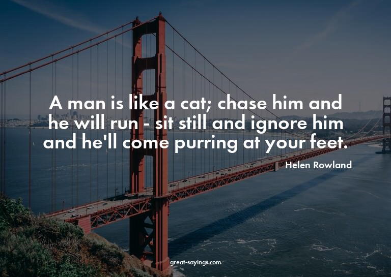 A man is like a cat; chase him and he will run - sit st