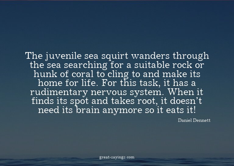 The juvenile sea squirt wanders through the sea searchi