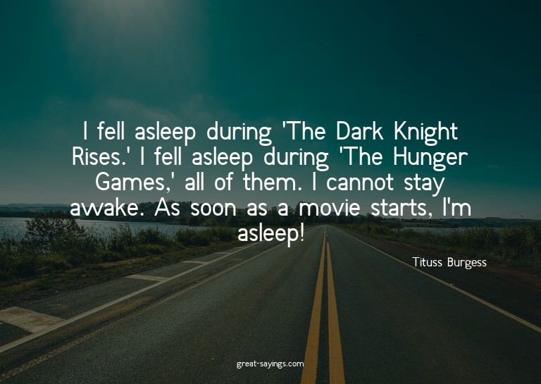 I fell asleep during 'The Dark Knight Rises.' I fell as