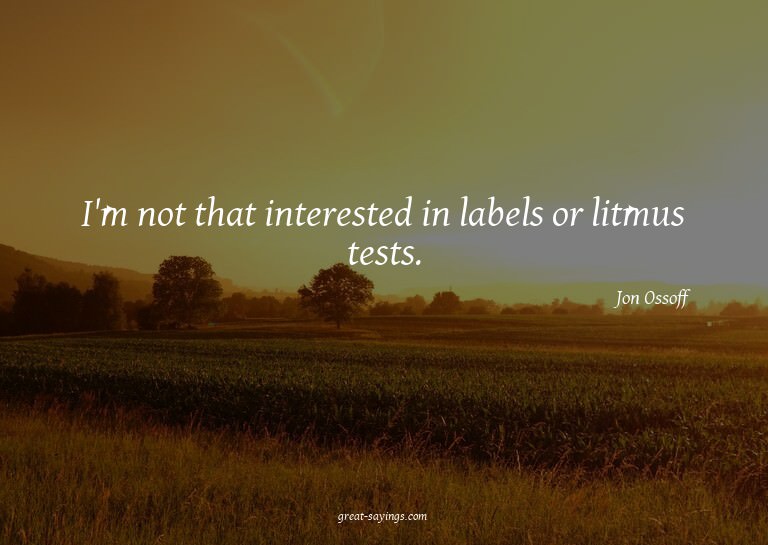 I'm not that interested in labels or litmus tests.


