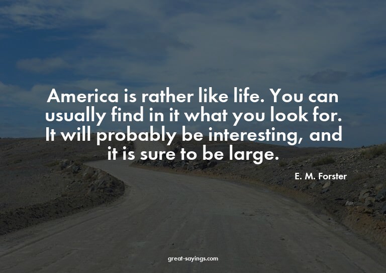 America is rather like life. You can usually find in it