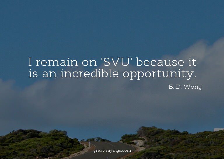 I remain on 'SVU' because it is an incredible opportuni