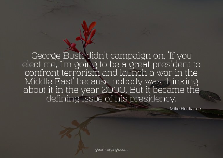 George Bush didn't campaign on, 'If you elect me, I'm g