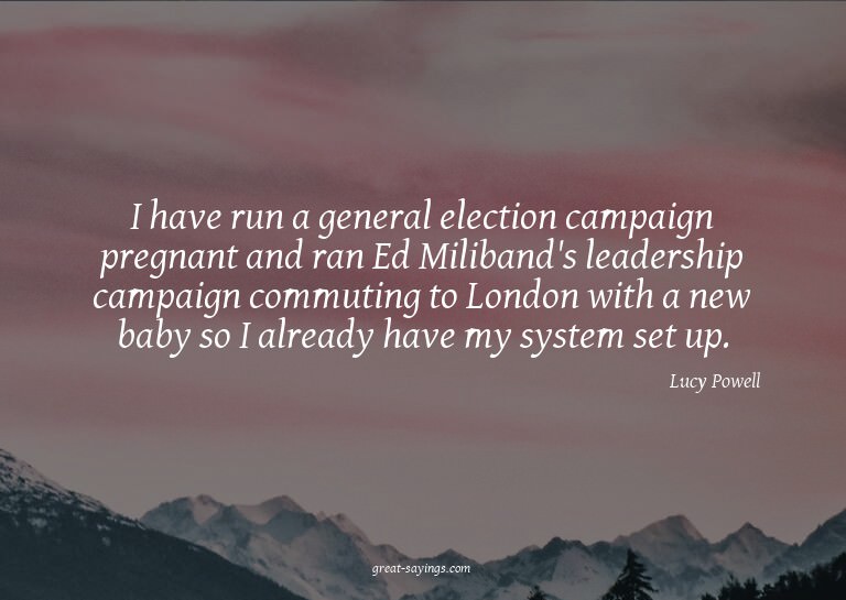 I have run a general election campaign pregnant and ran