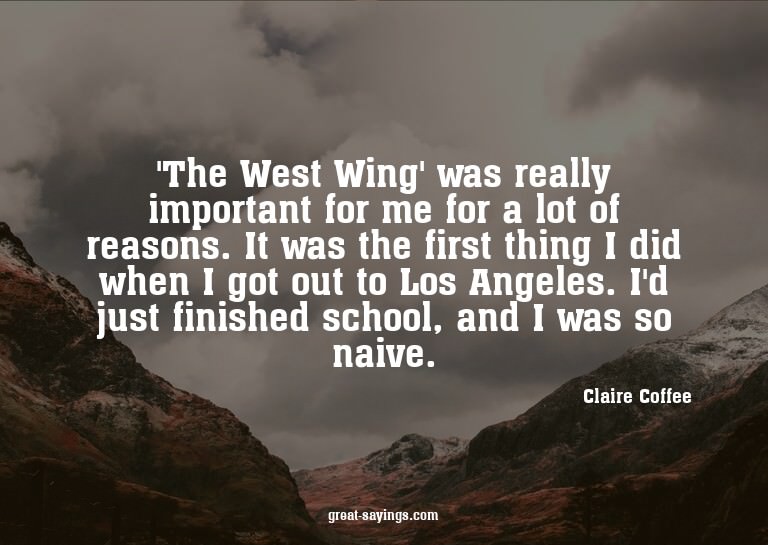 'The West Wing' was really important for me for a lot o