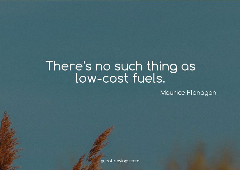 There's no such thing as low-cost fuels.

