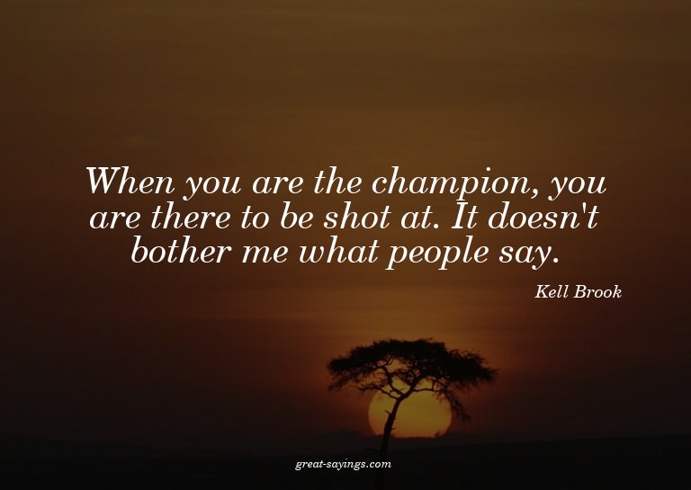 When you are the champion, you are there to be shot at.