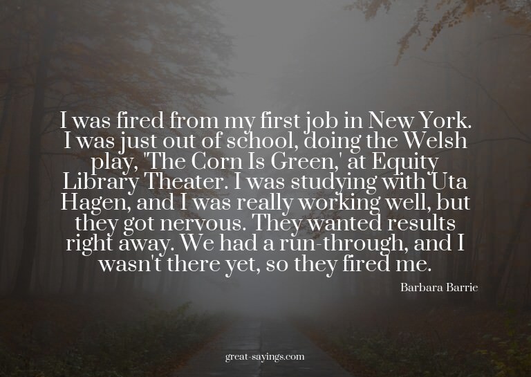 I was fired from my first job in New York. I was just o
