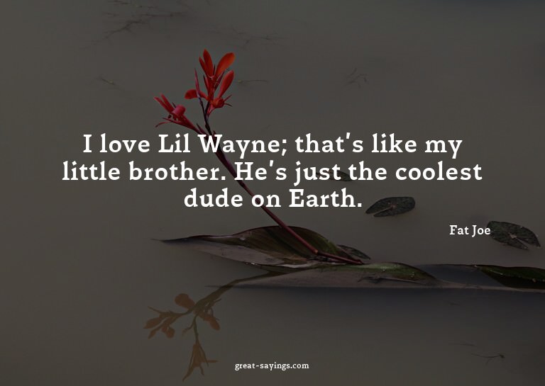 I love Lil Wayne; that's like my little brother. He's j