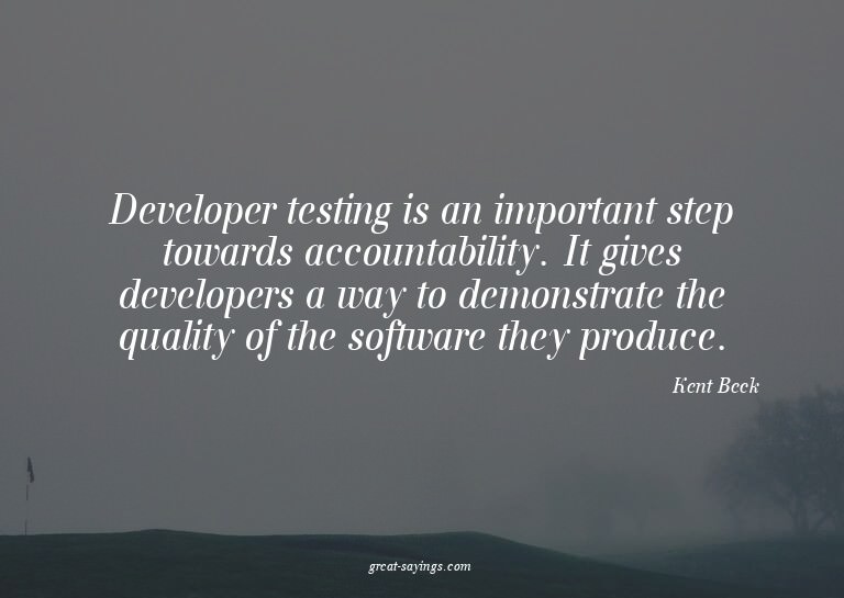 Developer testing is an important step towards accounta