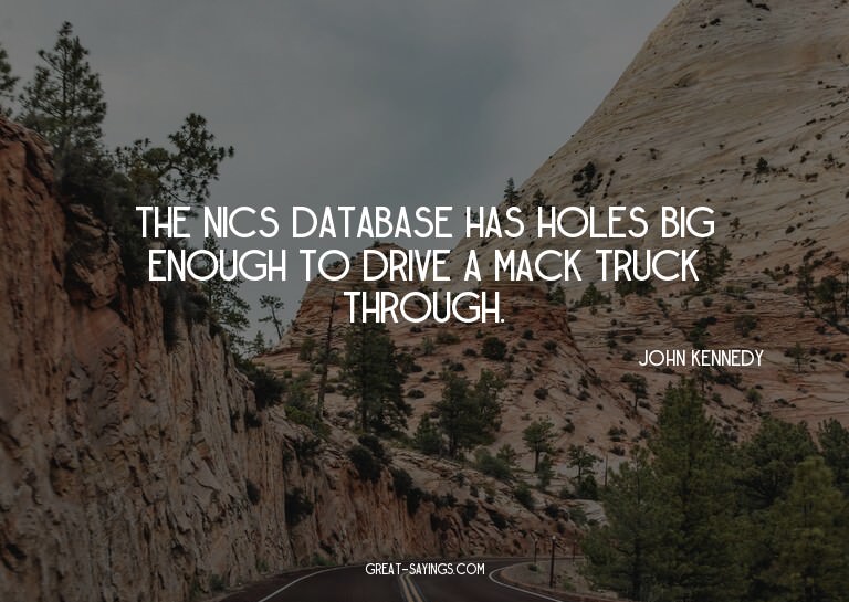 The NICS database has holes big enough to drive a Mack