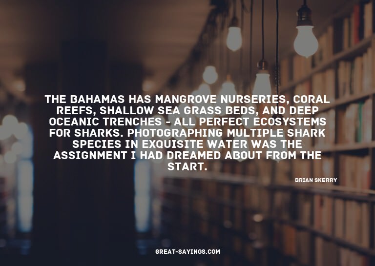 The Bahamas has mangrove nurseries, coral reefs, shallo