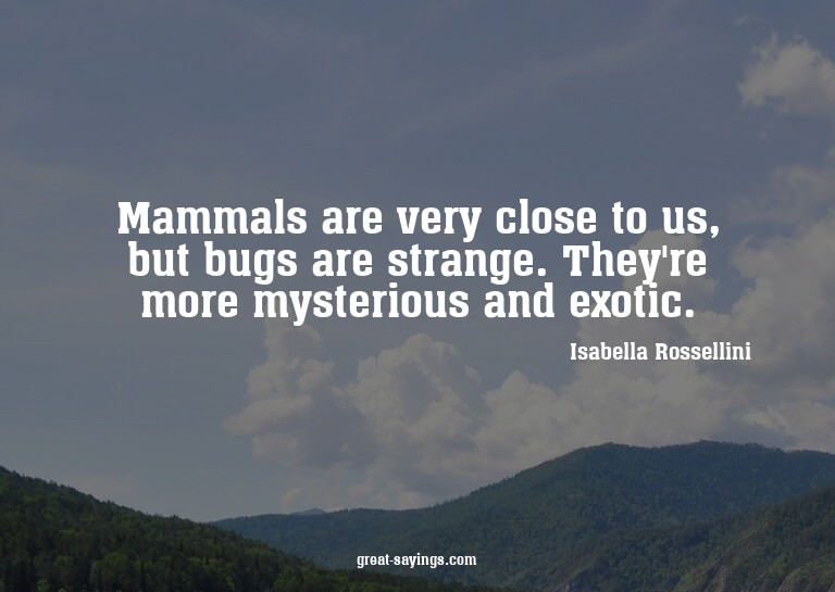 Mammals are very close to us, but bugs are strange. The