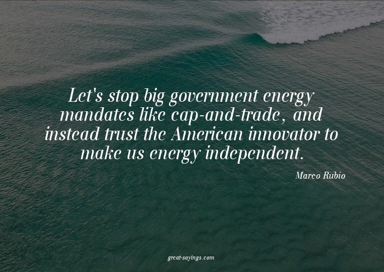 Let's stop big government energy mandates like cap-and-