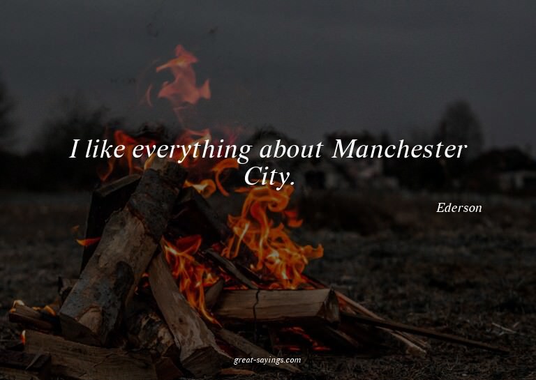 I like everything about Manchester City.

