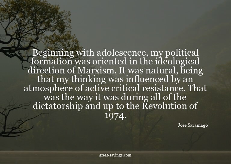 Beginning with adolescence, my political formation was