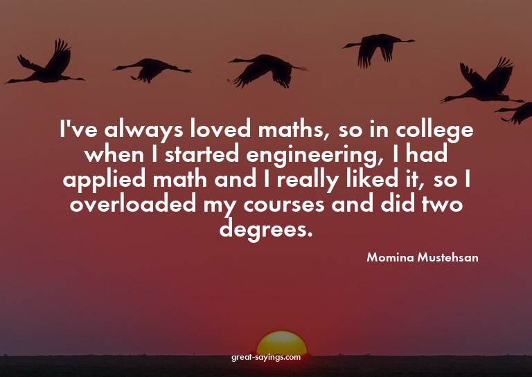 I've always loved maths, so in college when I started e