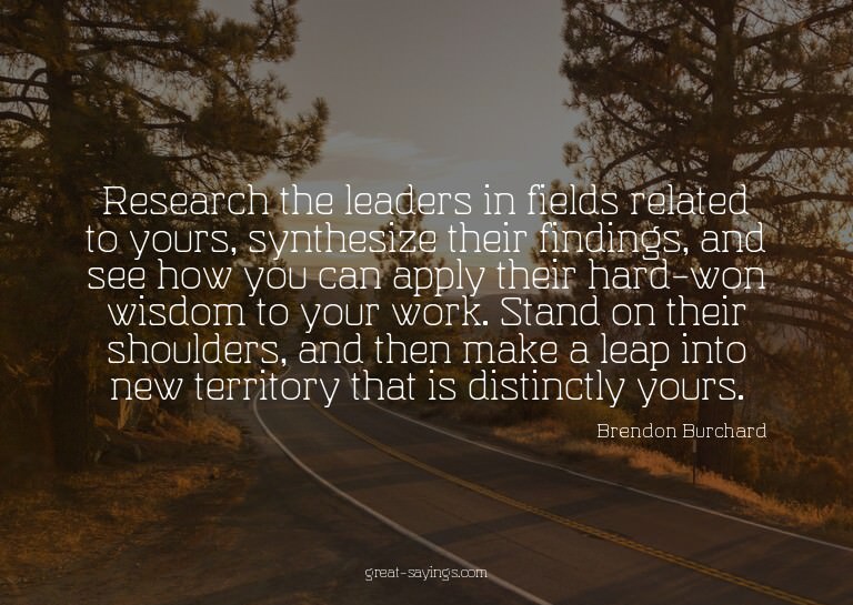 Research the leaders in fields related to yours, synthe