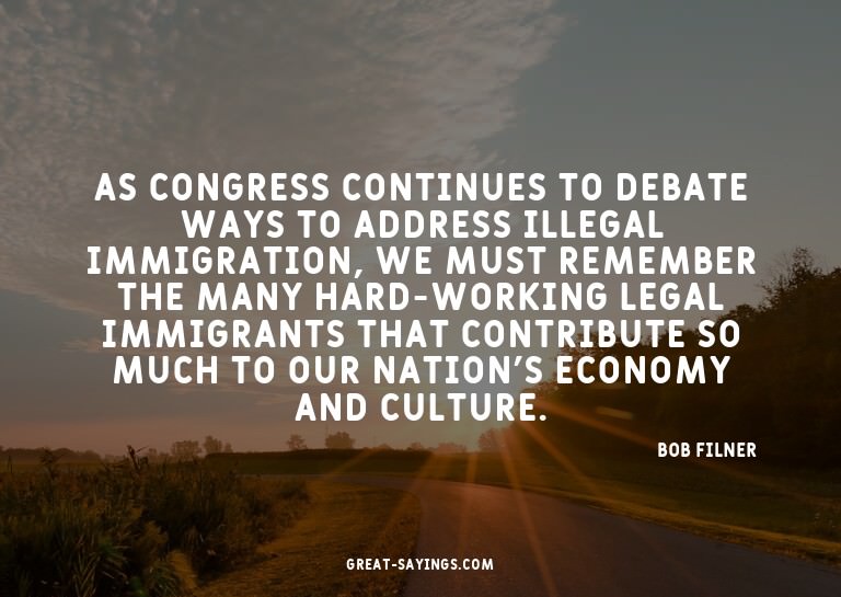 As Congress continues to debate ways to address illegal