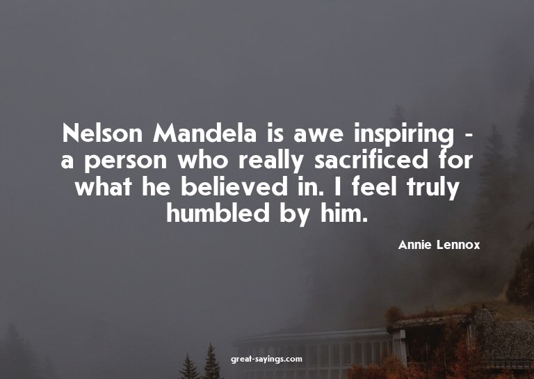 Nelson Mandela is awe inspiring - a person who really s