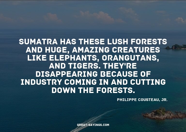 Sumatra has these lush forests and huge, amazing creatu